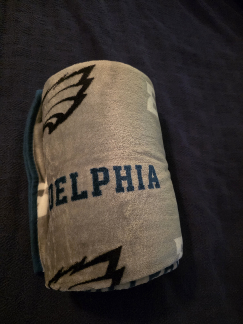 Source Unknown Gray and Teal Philadelphia Plush Throw Blanket